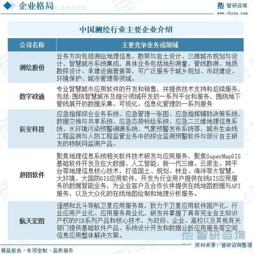 2023年測(cè)繪行業(yè)投資熱點(diǎn)及未來發(fā)展趨勢(shì)預(yù)測(cè)報(bào)告——聚焦信息系統(tǒng)集成服務(wù)